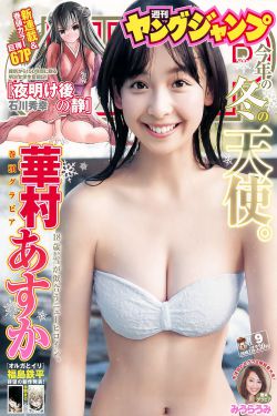 好看的电视剧